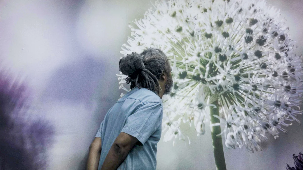 Notes on the City: Andrea Luka Zimmerman and Adrian Jackson’s 'Here For Life' —Locarno