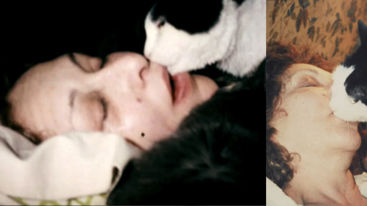 In Defence of the Crazy Cat Lady: Carolee Schneemann’s Feline Muses