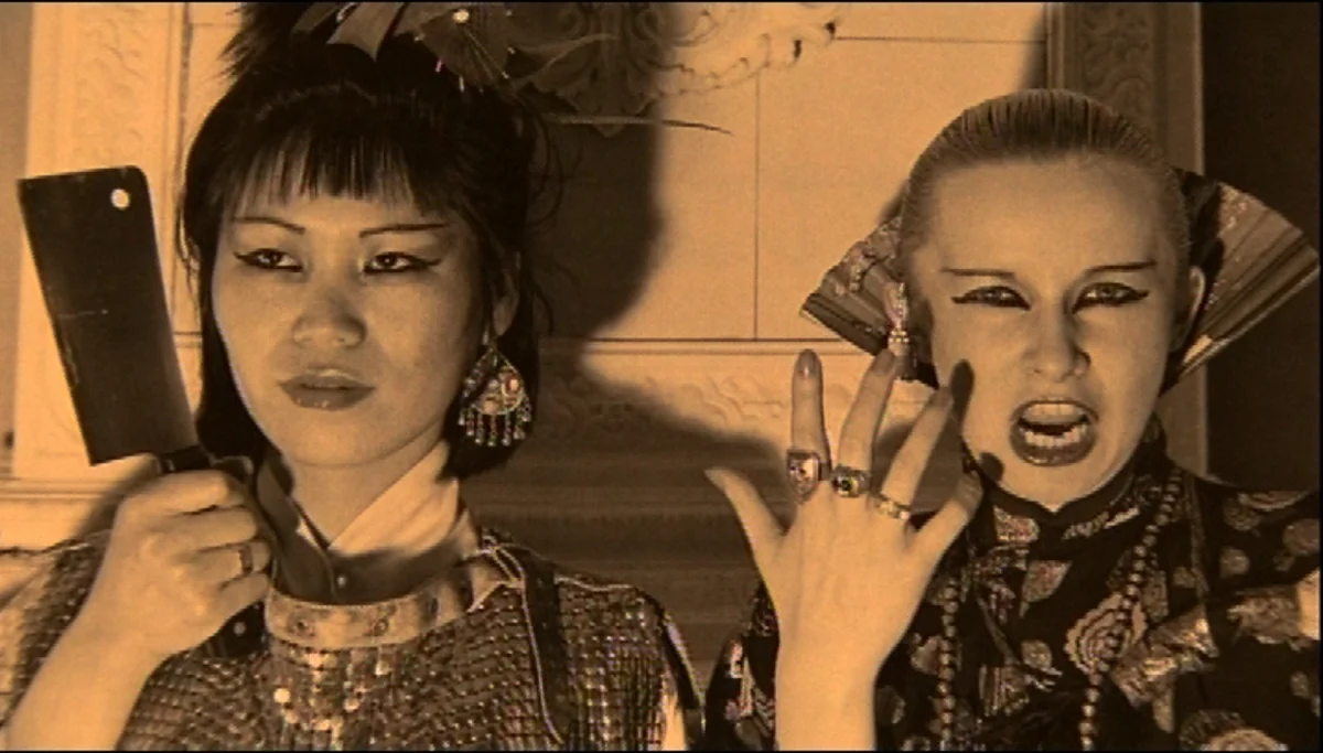 'Still Moving': Ulrike Ottinger’s Shifting Archive of Identity