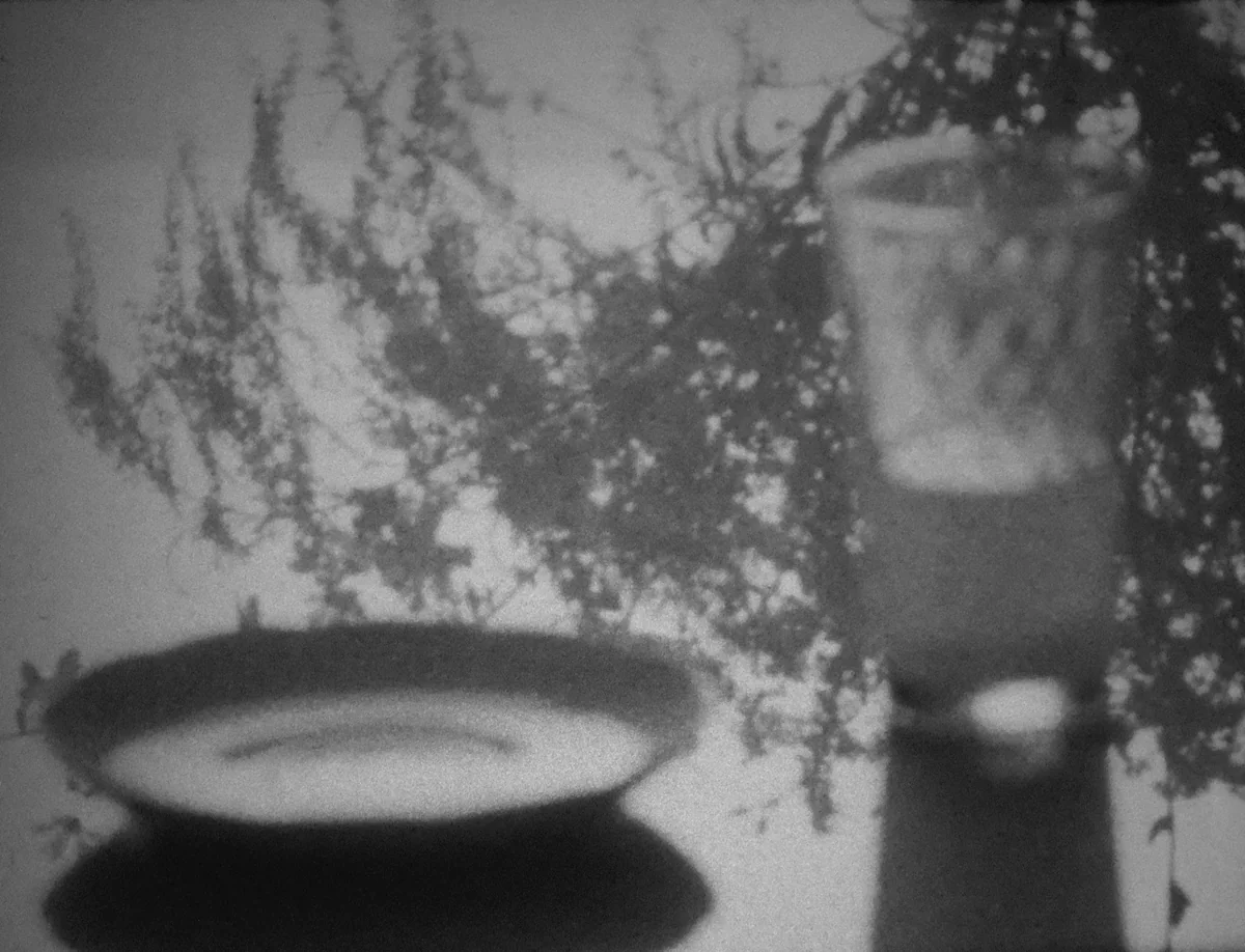 Intimacy, Distance and Detail in Ute Aurand's 'Rasendes Grün mit Pferden' ('Rushing Green with Horses')