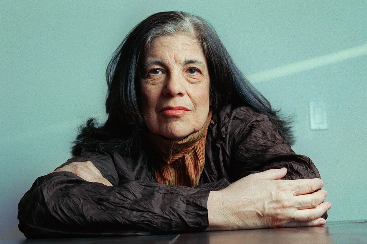 On 'Regarding Susan Sontag'