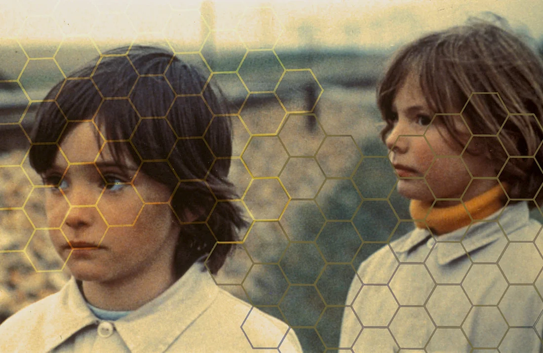 The Monster and the Other: reading gender in Victor Erice’s 'The Spirit of the Beehive'