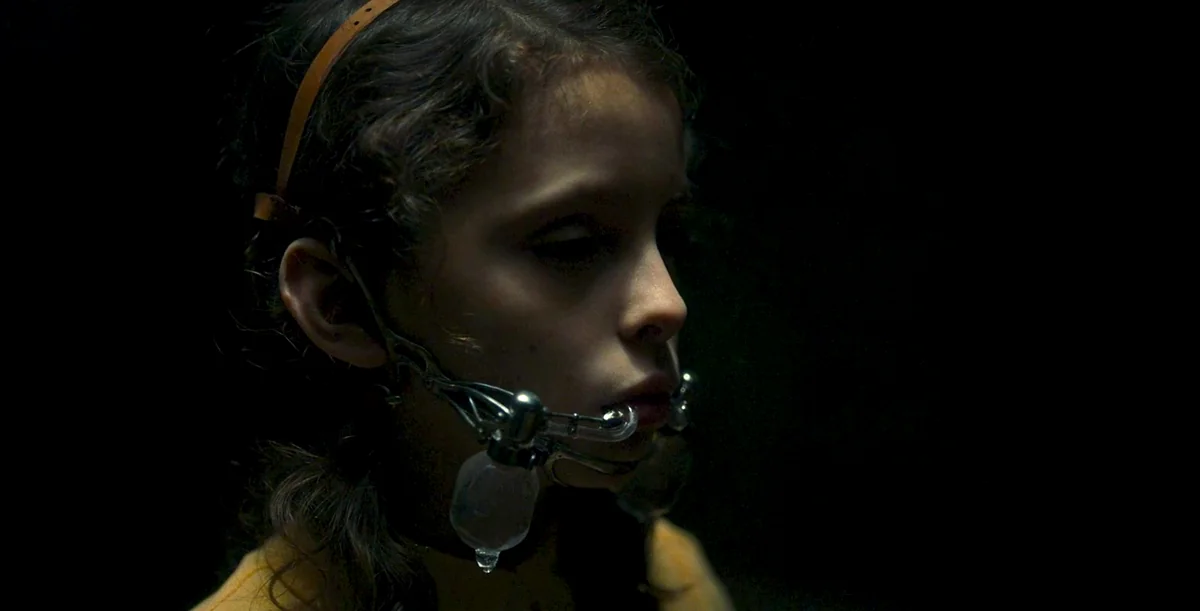 Laura Staab on Lucile Hadžihalilović’s 'Earwig'