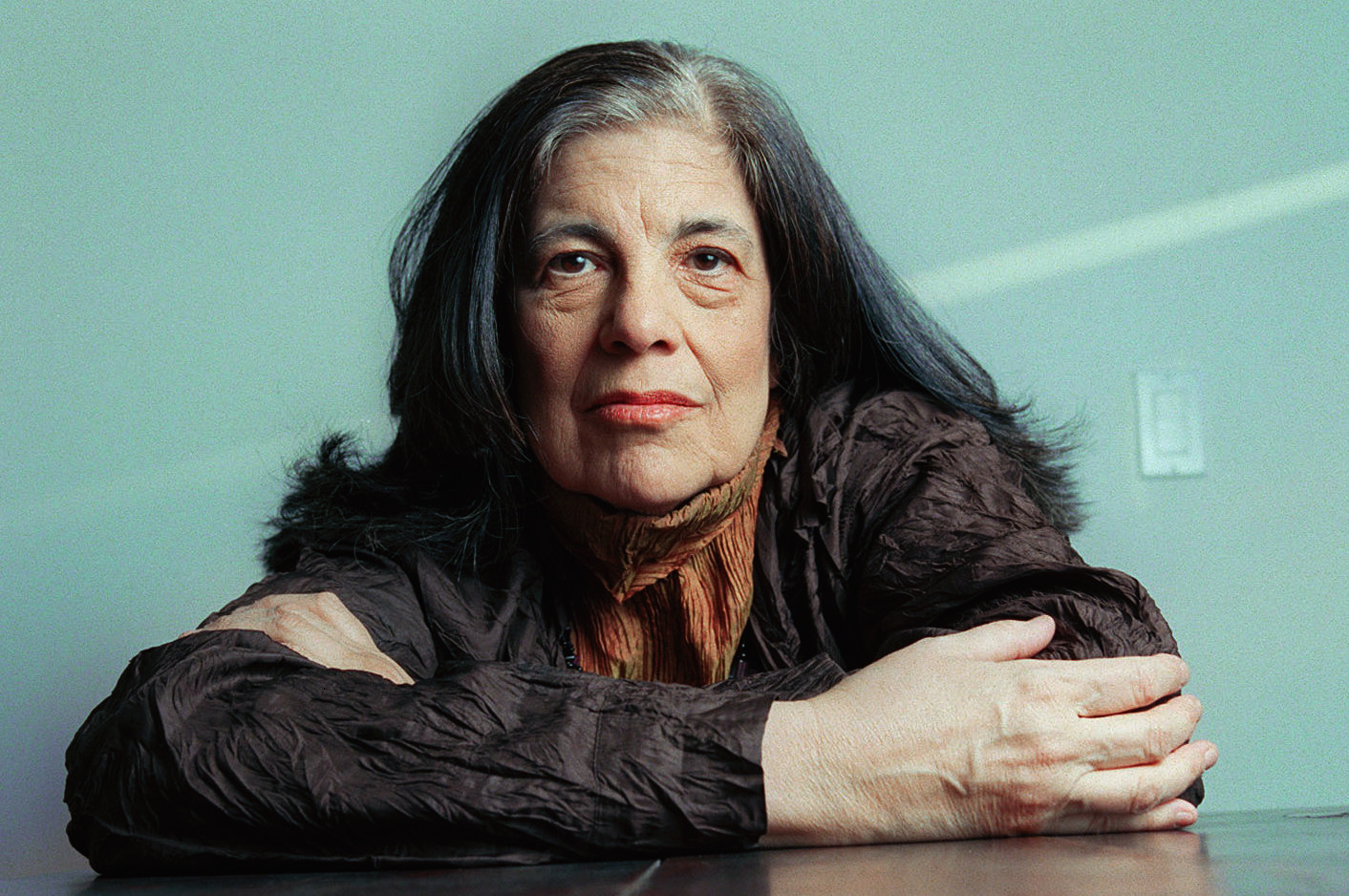 On 'Regarding Susan Sontag' - Another Gaze: A Feminist Film Journal