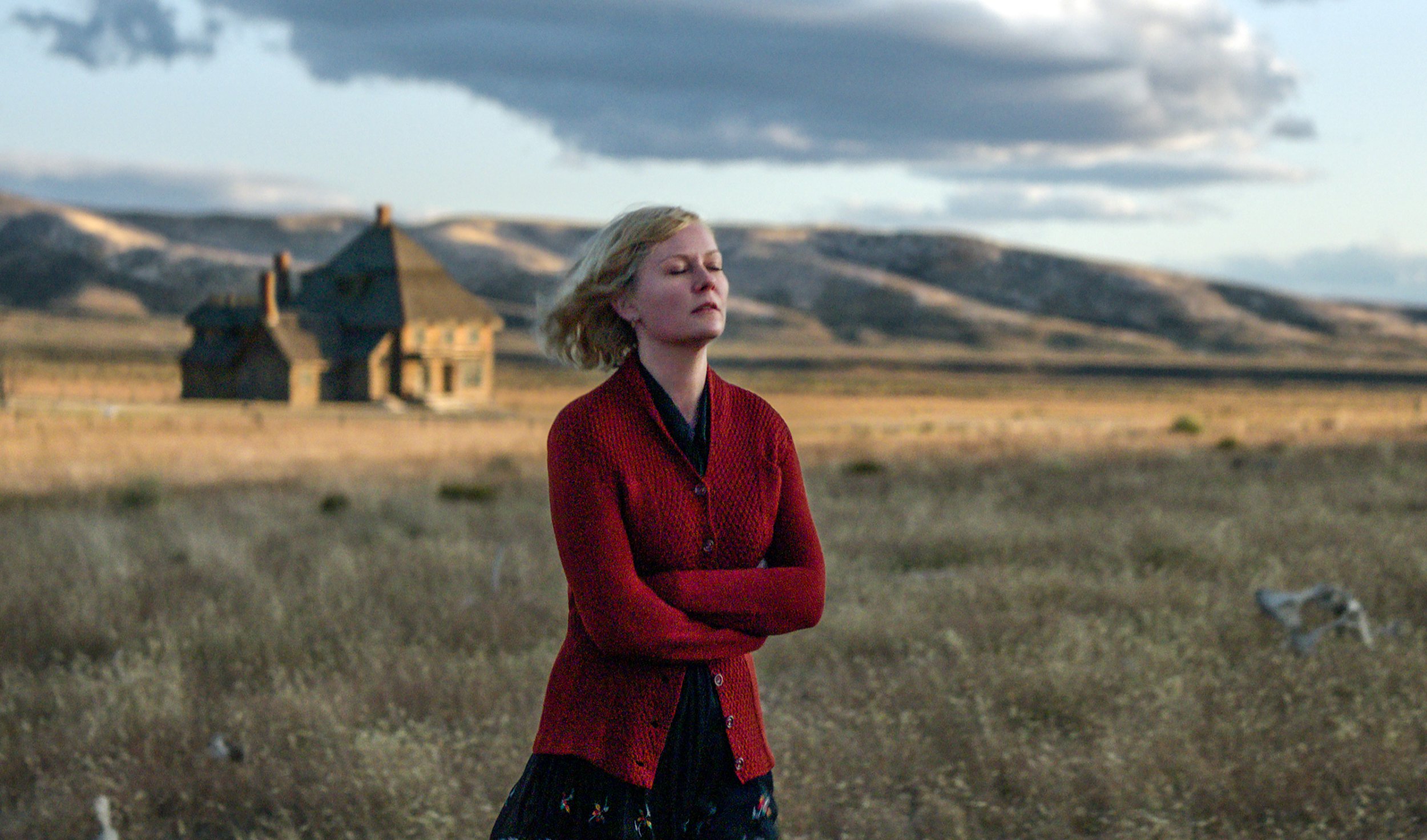 Rebecca Liu on Jane Campion's 'The Power of the Dog' - Another Gaze: A Feminist Film Journal